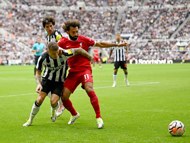 他职业生涯 他职业生涯