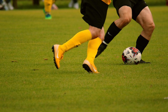 期在任帮助 期在任帮助